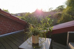 IMG_20201004_171301