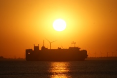 SONY DSC