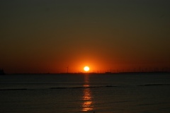SONY DSC