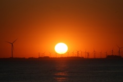 SONY DSC